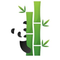 North Shore Bamboo – Lane Cove
